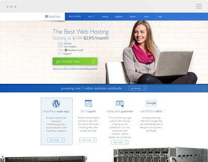 bluehost website