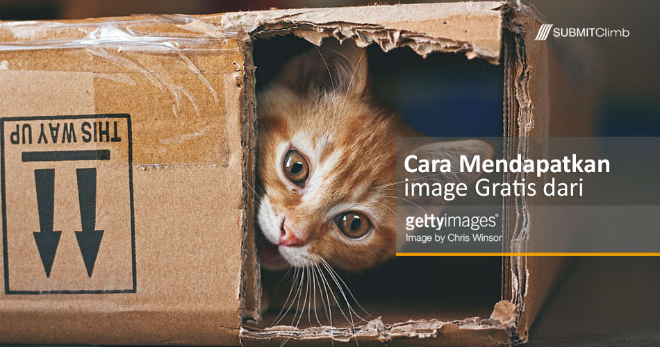 Cara Mendapatkan Image Gratis dari Getty Images