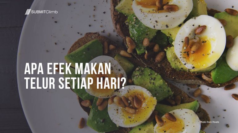 Efek Makan Telur Setiap Hari, Apakah Baik atau Buruk?