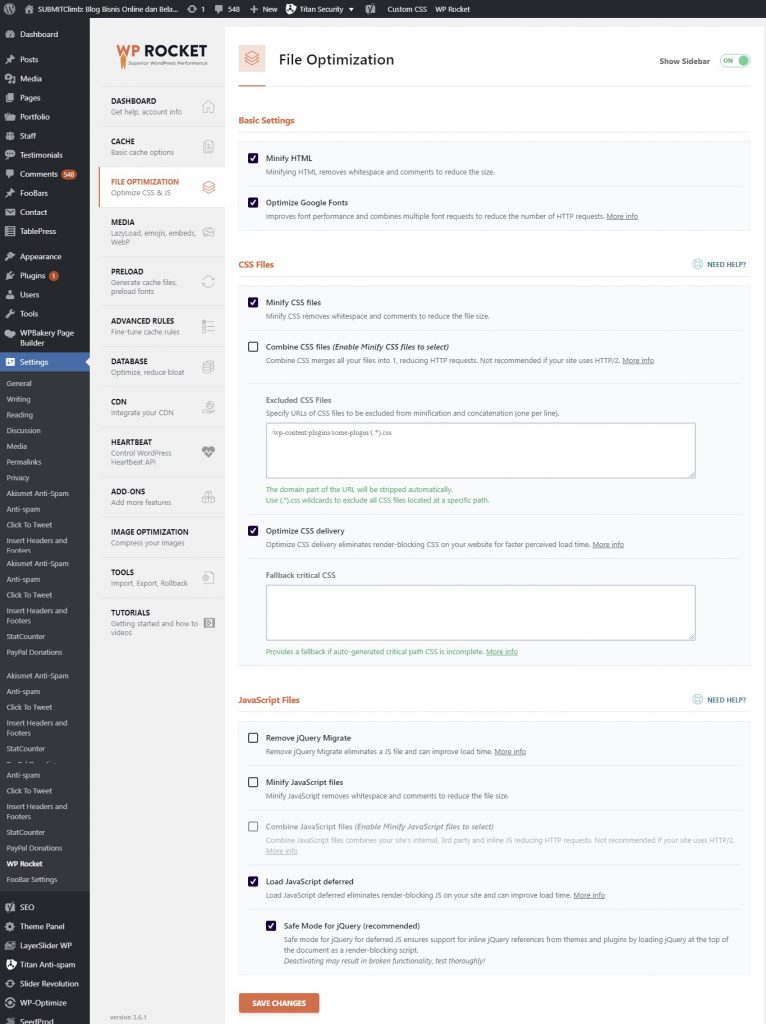 Pengaturan File Optimization Wp Rocket